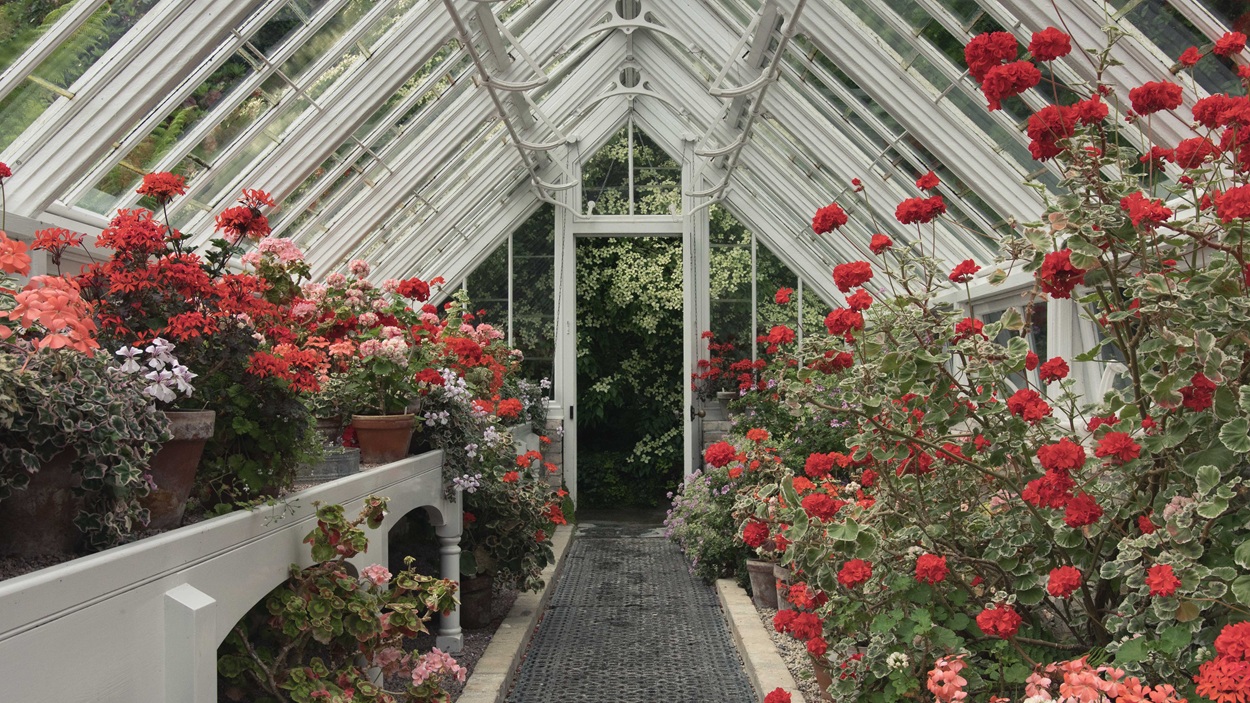 Pencalenick Greenhouse At Heligan