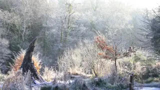 Winter In The Lost Valley