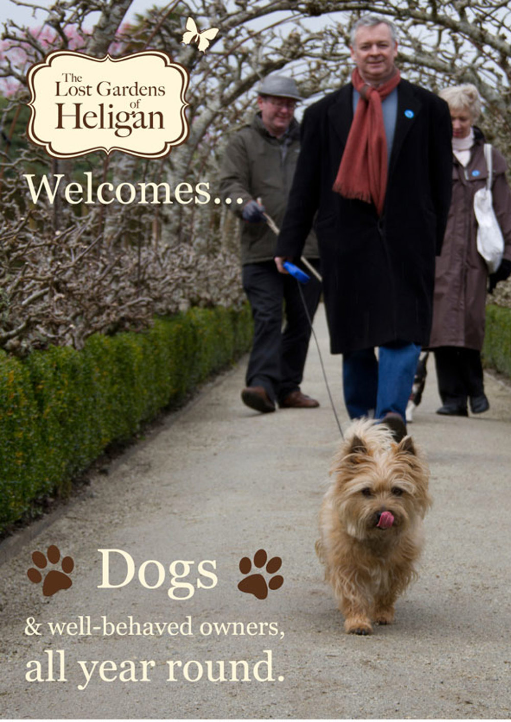 Heligan Dogs Poster 2013
