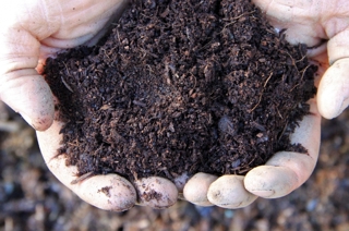 Soil In Hands 1250 827 S C1