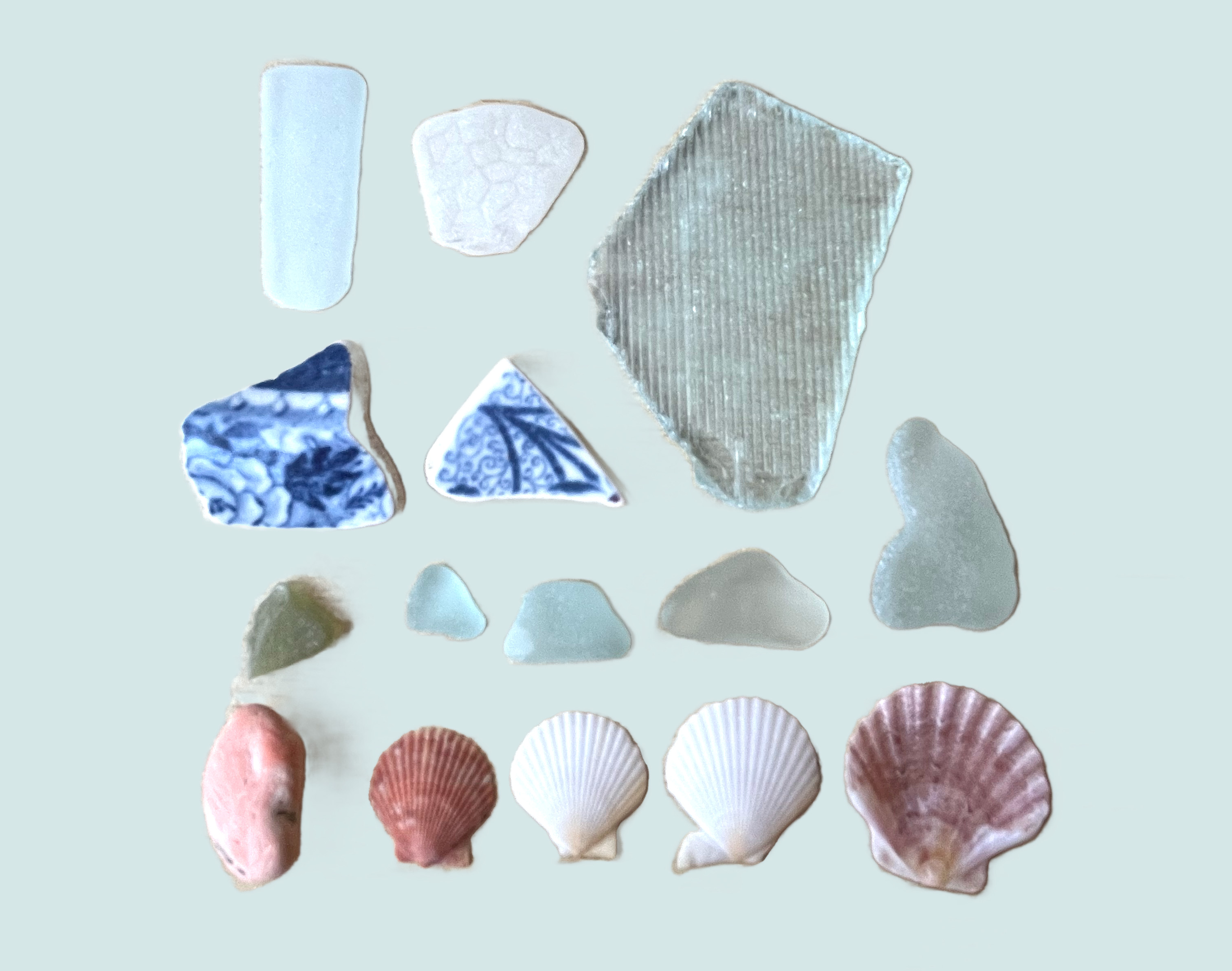 Sea Finds