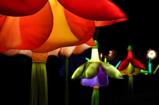 Flowers Light Display