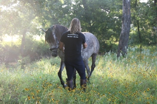 Rupert Isaacson Horse In Field In Sunshine