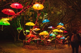 Heligan Night Garden