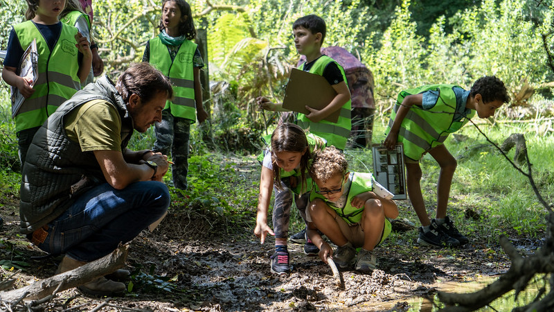 54691017513 993D739ba0 C