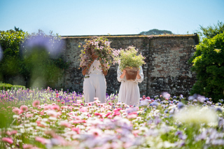 Flower Garden Cornwall