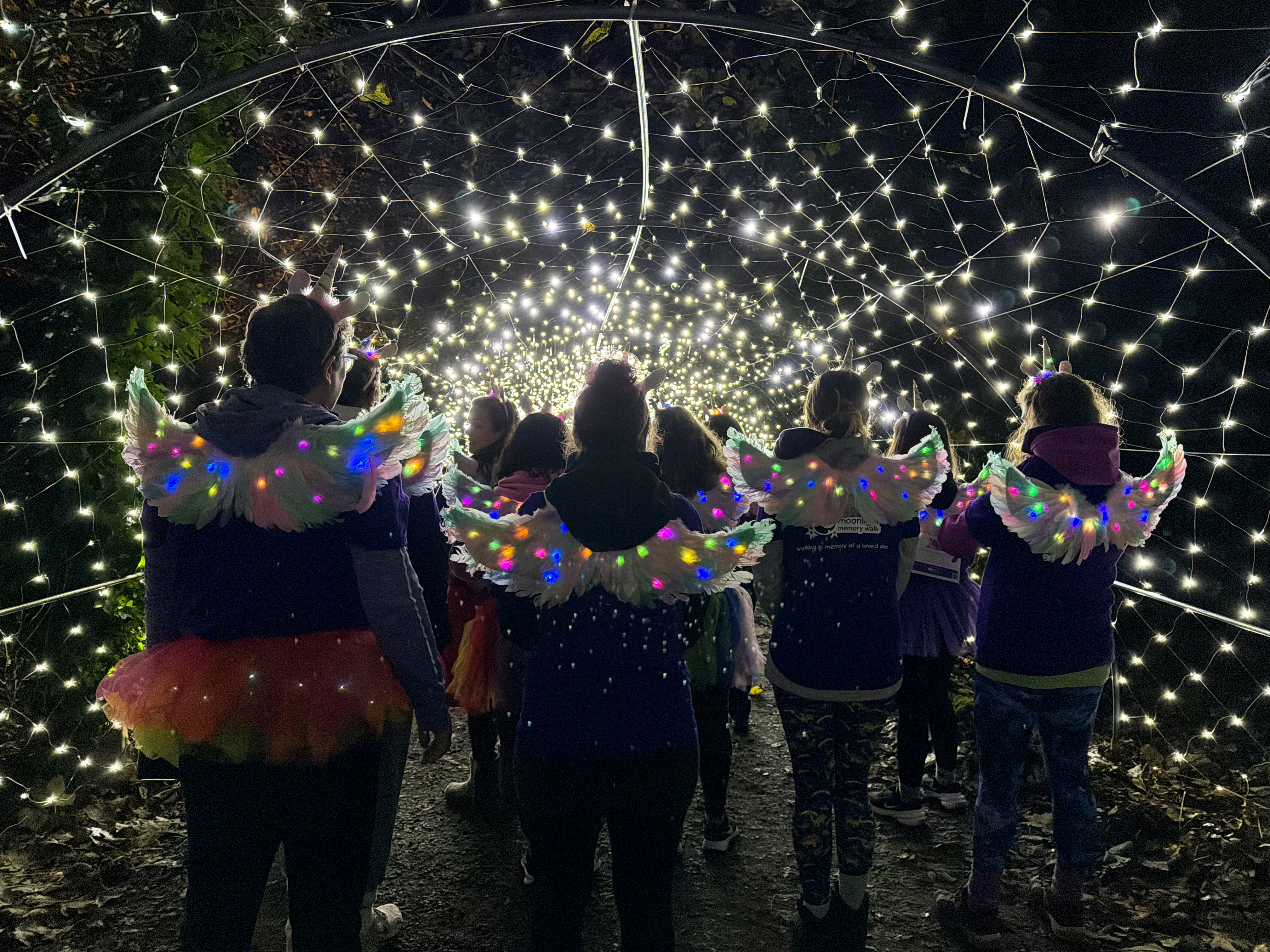 Moonlight Walk