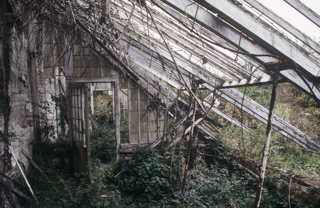 Heligan Glasshouse Restoration