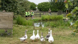 Rangers On The Farm