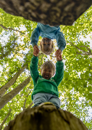Heligan Jungle Giants Children Playing in woods viewed underneath