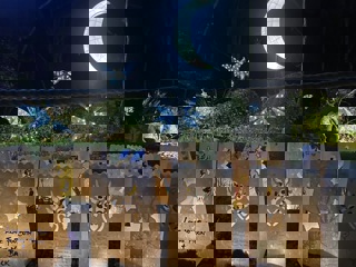 Moonlight Memory Walk