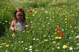 Girl in wildflowers