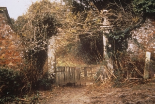 Garden Restoration 560 374 S C1