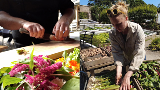 THE PIG X Heligan
