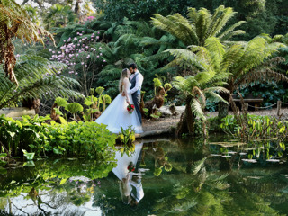 Heligan Jungle Wedding Second Pond greenery