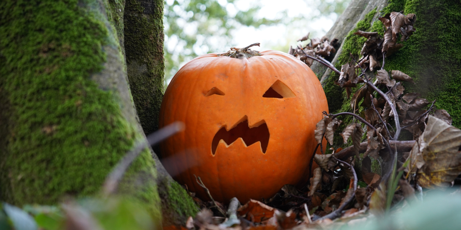 Pumpkin Halloween