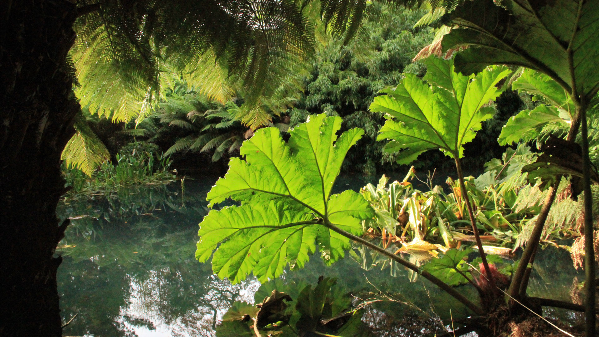 Microclimates Microclimates – Nature’s Secret Weather