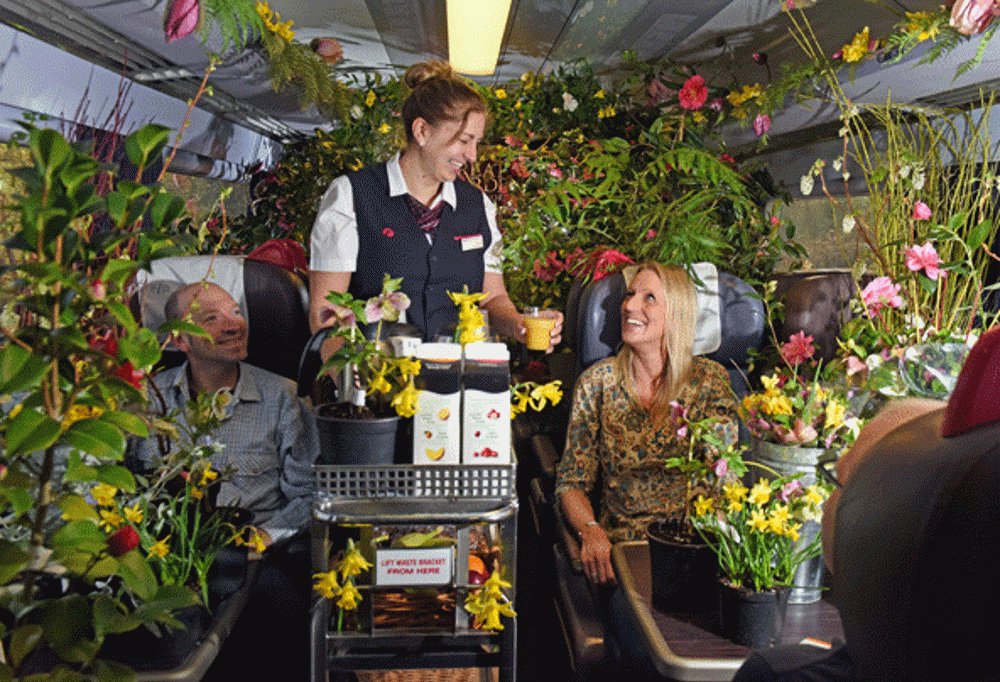 Flower Train