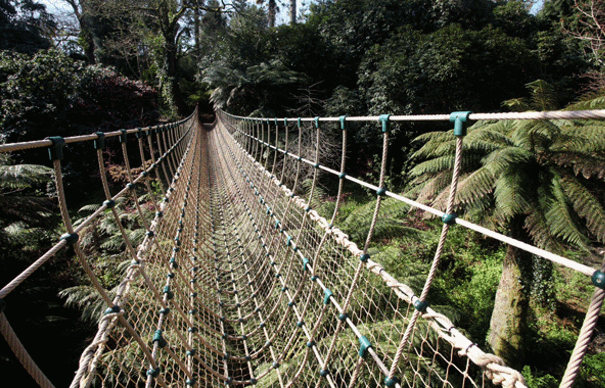 Is This The Longest Rope Bridge in Britain?