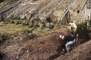 The Lost Gardens Of Heligan Cornwall Flower Garden 1990 1250 827 S C1