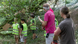 Survival Skills At Heligan