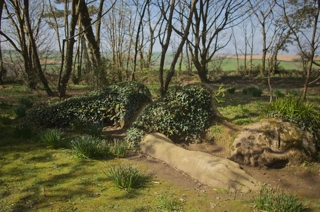 The Lost Gardens Of Heligan Cornwall Woodland 2 1250 827 S C1
