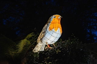 Festive Robin Heligan Night Garden