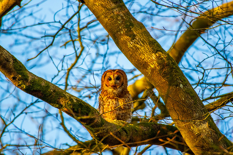 54460124879 3C56d32cab C