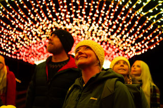 Festive Feast Night Garden