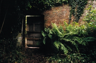 The Lost Gardens Of Heligan Cornwall Door 1250 827 S C1