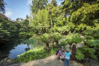 Heligan Members in the Jungle
