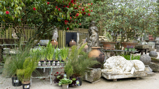 Heligan Antiques