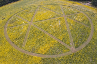 Wildflowers from the air