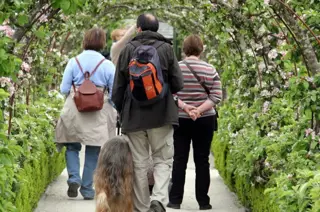 The Lost Gardens Of Heligan Cornwall Dogs 3 1250 827 S C1