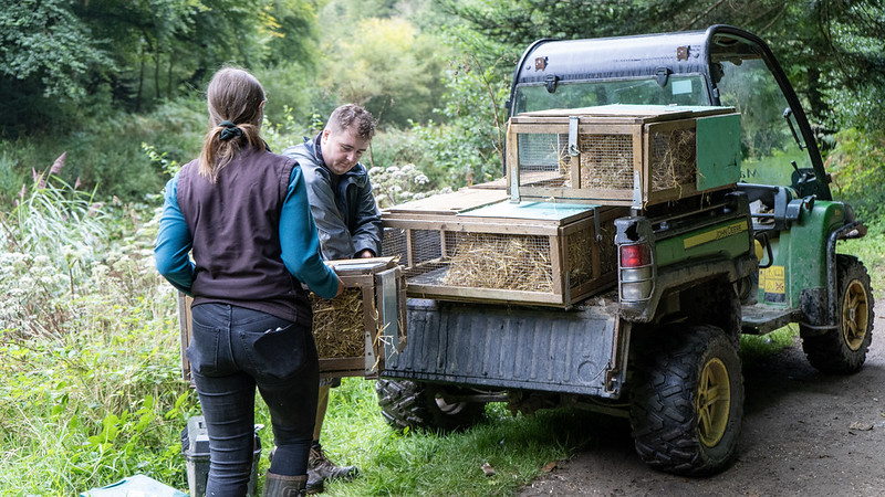 55011956164 7903Cb6414 C